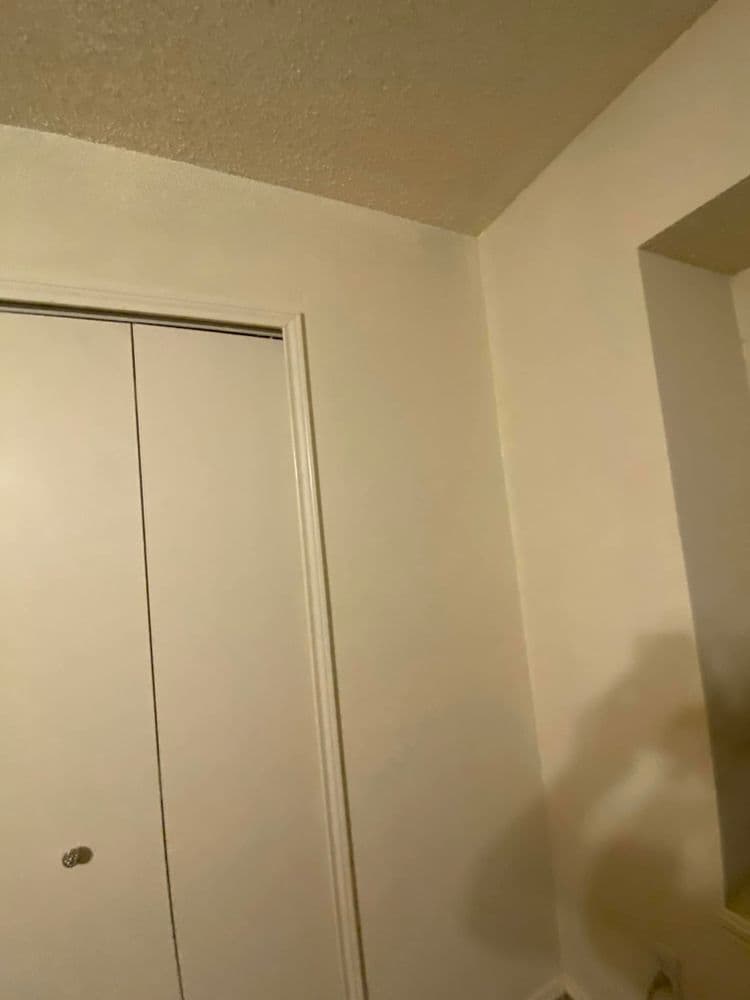 Interior room corner with a closet door and light-colored walls.
