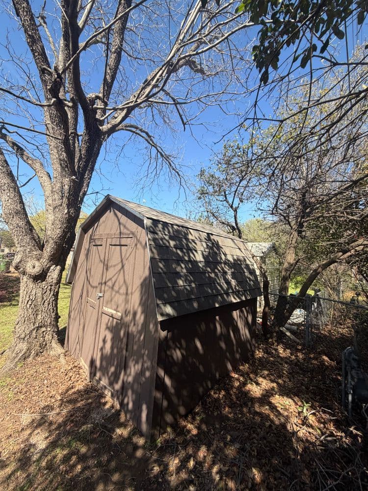 Wooden shed beside a tree in a sunny garden, surrounded by dried leaves and greenery.